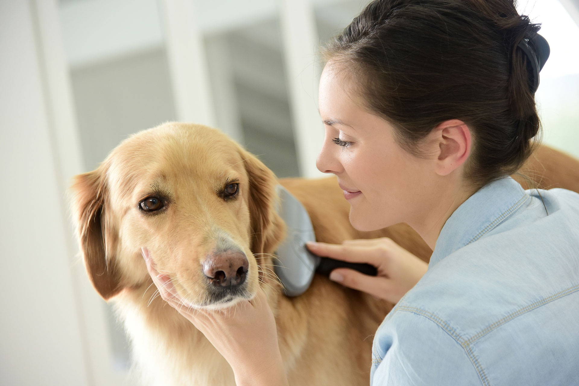 Pet Care Senior Solutions Of The Treasure Coast